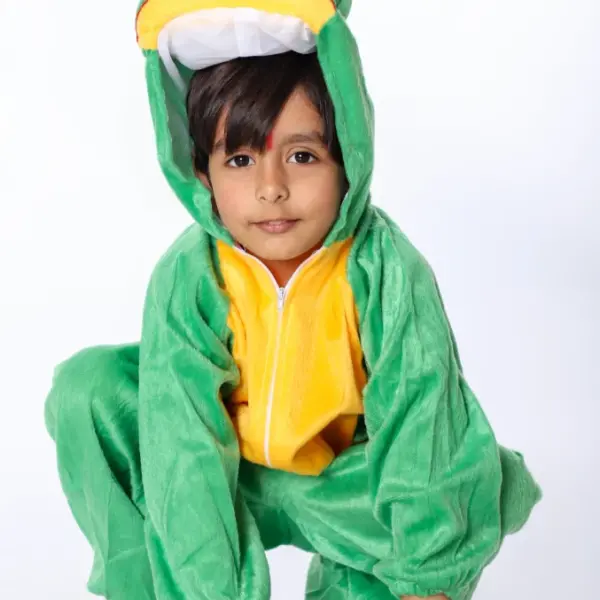 Frog Animal Costume Fancy Dress For Kids